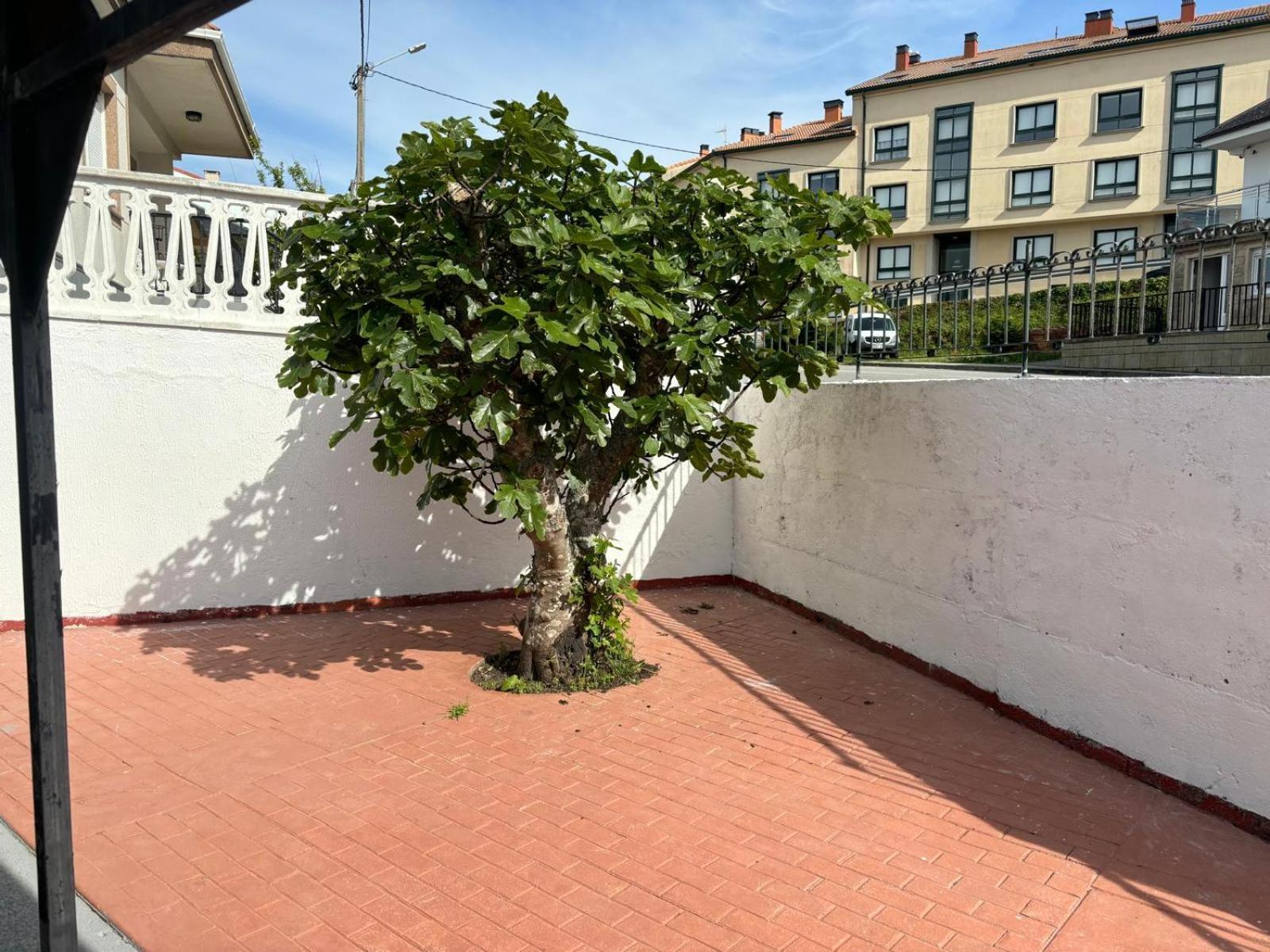 Casa De La Nina,Chalet Familiar Con Gran Terraza Finisterre Eksteriør billede
